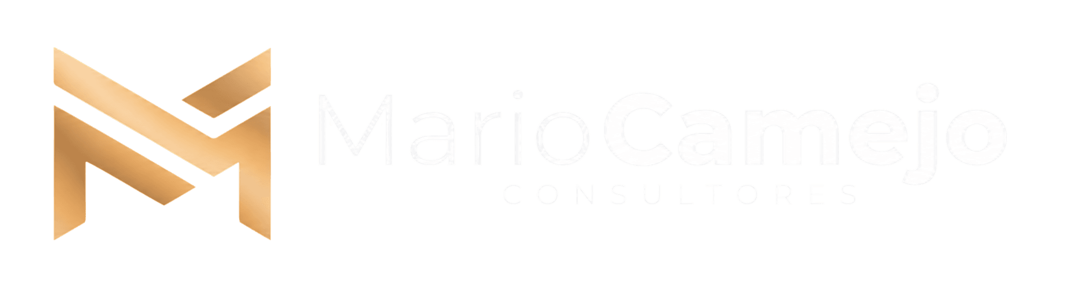 Mario Camejo Consultores