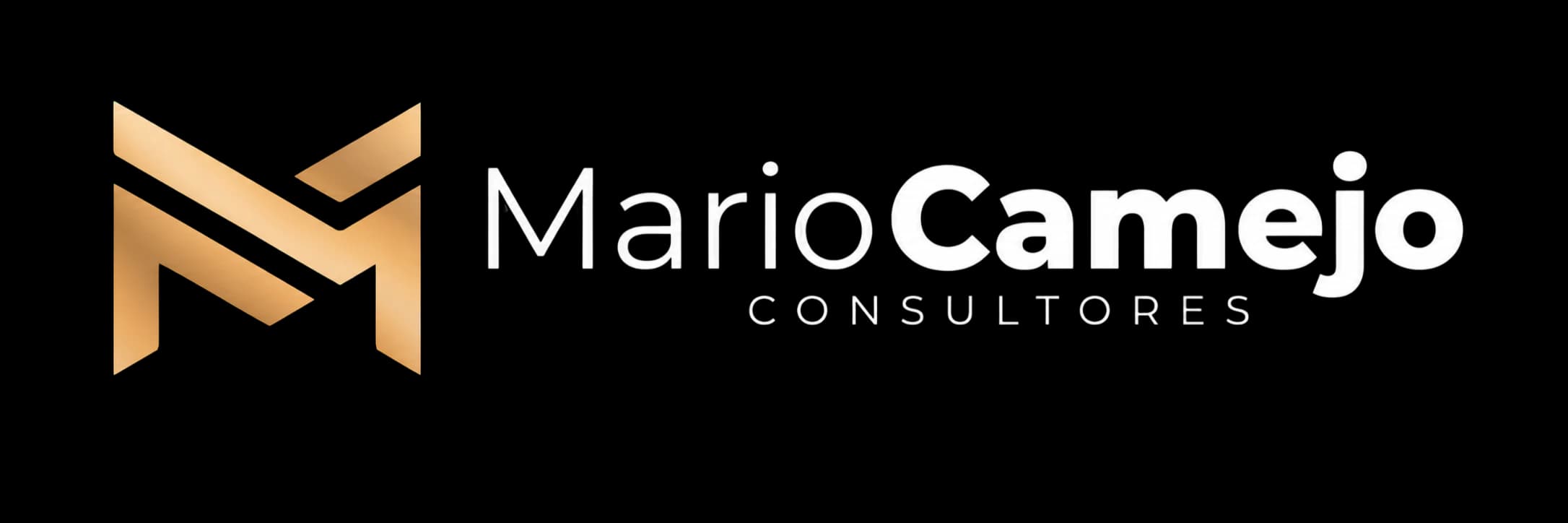 Mario Camejo Consultores